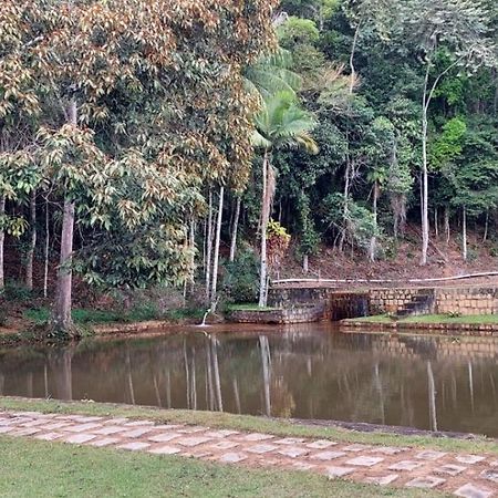Cabanas Eco Das Montanhas Domingos Martins Eksteriør billede