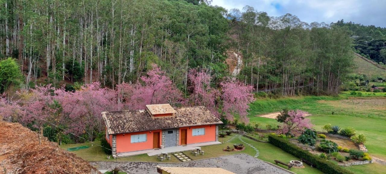 Cabanas Eco Das Montanhas Domingos Martins Eksteriør billede