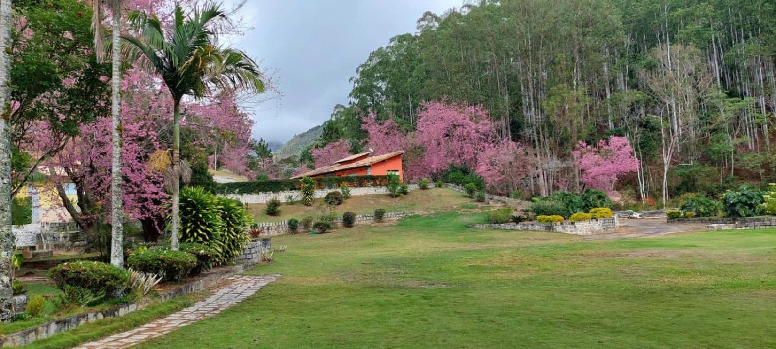 Cabanas Eco Das Montanhas Domingos Martins Eksteriør billede